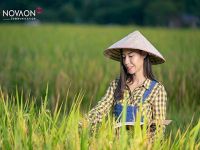 Gợi ý chiến lược digital khai thác thị trường Nông thôn từ Novaon Communication