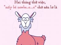 Hai tháng thử việc, mấy bé newbie chớ nên lơ là