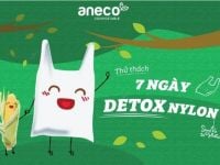AnEco: Casestudy điển hình về việc ra mắt thương hiệu mới