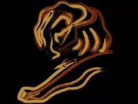 Oscar ngành quảng cáo Cannes Lions 2021 trở lại với nhiều trải nghiệm trực tuyến thú vị