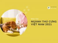 Ngành công nghiệp thú cưng Việt Nam với xu hướng và các chỉ số tích cực