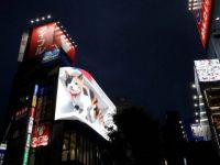 Ấn tượng với chú mèo 3D khổng lồ trên Billboard LED tại Ga Shinjuku (Nhật Bản)