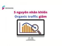 Google: 5 nguyên nhân chính và cách phân tích tại sao website lại suy giảm organic traffic bất thường