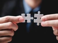 Dung hoà văn hoá – Chìa khoá thành công hậu M&A