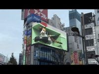 Quảng cáo ngoài trời: 3D LED Display x Content