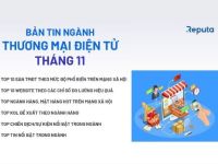 Reputa: Bản tin ngành thương mại điện tử tháng 11