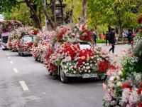 Roadshow ấn tượng mang theo 99.999 bông hoa của Ecopark