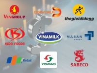 Brand Updates: Tình hình kinh doanh năm 2021 của Vingroup, Kido, TGDĐ và nhiều doanh nghiệp khác