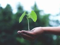 Nghiên cứu IBM: Yếu tố bền vững môi trường trở nên quan trọng hơn đối với người tiêu dùng