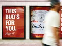 3 bài học chiến lược thương hiệu dẫn đầu từ Budweiser