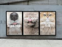 Chiến dịch OOH của ManyPets Insurance nêu bật vai trò của thú cưng đối với đời sống con người