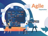 Agile Organization là gì? Hành trình để trở thành một tổ chức linh hoạt