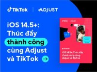 Báo cáo mới nhất của Adjust và TikTok về iOS 14.5+