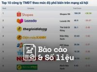 Reputa: Bản tin ngành thương mại điện tử tháng 8/2022