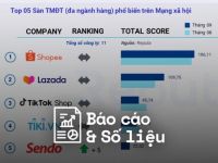 Reputa: Bản tin ngành thương mại điện tử tháng 10/2022