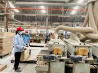 Bức tranh toàn cảnh về chuyển đổi số doanh nghiệp gỗ 2022