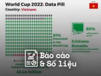 TGM Research: 81% người Việt quan tâm đến FIFA World Cup 2022