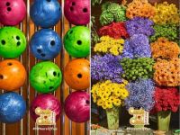 Candy Crush Saga kỷ niệm 10 năm ra mắt bằng chiến dịch đầy cảm hứng