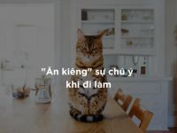 “Ăn kiêng” sự chú ý khi đi làm