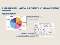 Giai đoạn Brand Valuation & Portfolio Management sẽ cần thực hiện những loại nghiên cứu gì?
