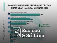 Hiện trạng mức độ sử dụng các sản phẩm ngân hàng tại Việt Nam 2022