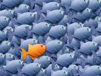 Marketing, giữa đại dương tẻ ngắt