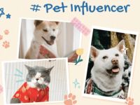 Pet Influencer và sức hút khuấy đảo cộng đồng mạng năm 2023