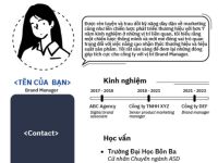 Cách tạo CV Brand Manager chuyên nghiệp và thu hút nhà tuyển dụng