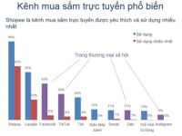Người tiêu dùng Việt mua gì và ở đâu khi mua sắm trực tuyến?
