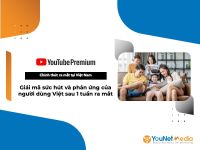 Sau một tuần ra mắt, 70% người dùng mạng xã hội tuyên bố sẵn sàng trải nghiệm YouTube Premium