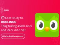 Case-study Growth Marketing: Cách Duolingo tăng trưởng 450% user trong 4 năm