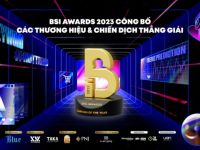 BSI Awards 2023 công bố danh sách thương hiệu và chiến dịch thắng giải
