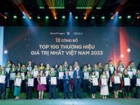 Brand Finance – Mibrand Vietnam Forum 2023: Giá trị thương hiệu ngành ngân hàng tăng mạnh 47%