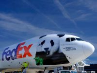 Gia đình gấu trúc Mỹ Hương, Thiêm Thiêm và Tiểu Kỳ Tích trở về Trung Quốc trên chuyến bay riêng FedEx Panda Express