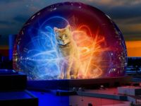 The Marvels “gây sốt” khi trình chiếu đoạn video chú mèo Goose trên quả cầu LED khổng lồ Sphere Las Vegas