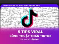 TikTok Tips #3: 5 tips viral cùng thuật toán TikTok 2024