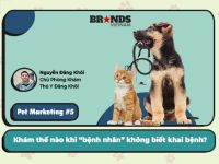 Pet Marketing #5 – Phòng khám Thú y Đăng Khôi: Khám thế nào khi “bệnh nhân” không biết khai bệnh?
