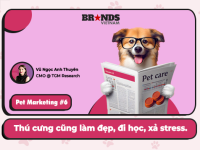 Pet Marketing #6 – TGM Research: Thú cưng cũng làm đẹp, đi học, xả stress