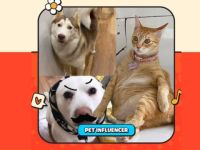 Pet Influencer: Khi thú cưng có sức ảnh hưởng không kém cạnh bất kỳ influencer nào