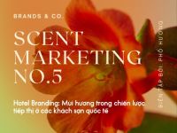 Tiếp thị mùi hương #5 – Hotel Branding: Mùi hương trong chiến lược tiếp thị ở các khách sạn quốc tế