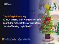 Cây thông kẽm nhung: Từ “Hot Trend” trên TikTok đến doanh thu hơn 380 triệu/tháng trên sàn TMĐT