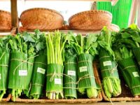 Tiêu dùng xanh: Từ xu hướng ngách sang lực lượng phát triển mạnh mẽ trên thị trường Việt Nam