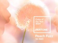 Pantone công bố “Peach Fuzz” là màu sắc của năm 2024