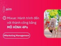 Case study Marketing Mix - Phân tích mô hình 4Ps của Mixue