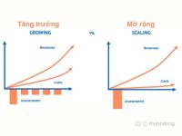 Tăng trưởng (Grow) hay mở rộng (Scale)? Lựa chọn chiến lược phù hợp cho năm 2024