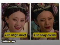 [Cười & Ngẫm] Phim cung đấu phiên bản agency