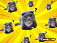 [Cười & Ngẫm] Những nghịch lý khi đi làm của Marketers