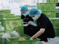 Nền tảng đặt hàng thực phẩm B2B KAMEREO huy động thành công 2,1 triệu USD trong vòng gọi vốn Pre Series B