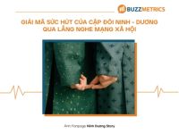 Buzzmetrics: Giải mã sức hút của cặp đôi Ninh – Dương qua social listening