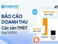 YouNet ECI: Báo cáo doanh thu các sàn thương mại điện tử quý I/2024